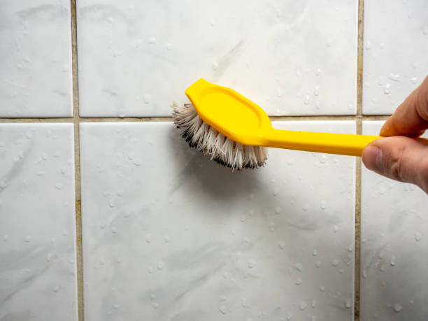 Best Insurance-Related Mold Remediation in Newnan, GA