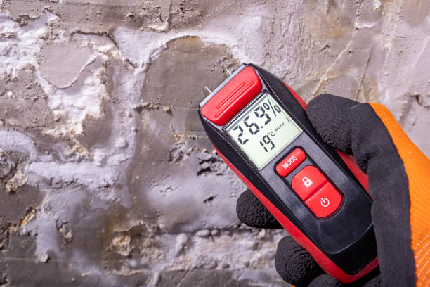 Best Mold Testing and Inspection Services in Newnan, GA