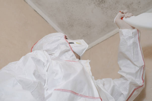 Newnan, GA Mold Remediation Company
